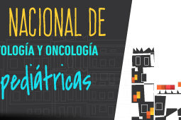 cabecera_web